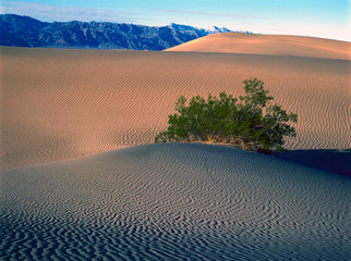 Beautiful Sand Dune Formations in Death Valley