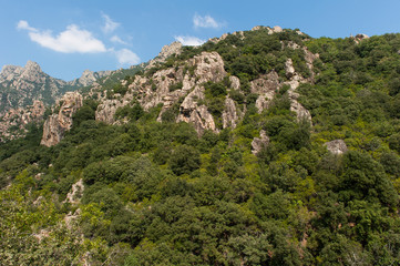 Fototapeta na wymiar Gorges d'Héric-Schlucht in Südfrankreich