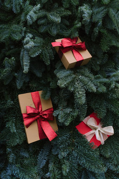 Christmas presents lying on conifer branches