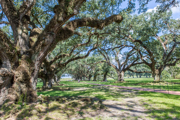 Impression of Oak Alley Plantation