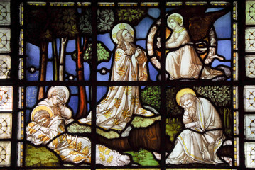 Obraz premium prayer in the Garden