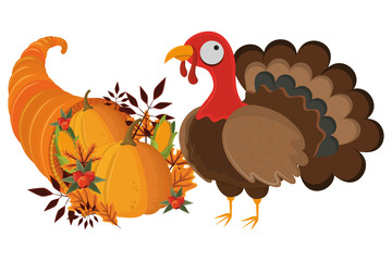 thanksgiving day turkey