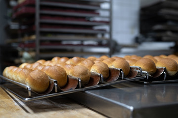Frische Sonntagsbrötchen gebacken in der Backstube - Variante 2