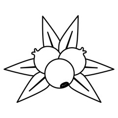 thanksgiving day plums