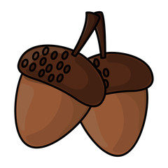 thanksgiving day nuts