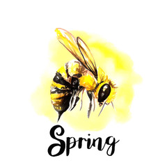 bee post card illustration