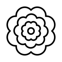 flower   bloom  nature