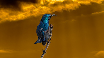 Hey! Where did the sun go?