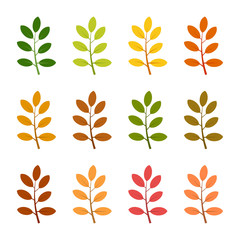 Set of twelve autumn leaves