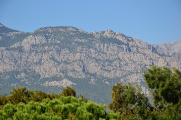 Fototapeta premium mountain