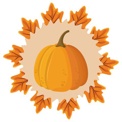 thanksgiving pumpkin icon