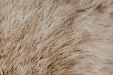 brown sheepskin fur texture background