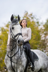 woman with a horse for a walk