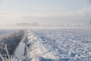 Obraz premium Winter in Ostfriesland