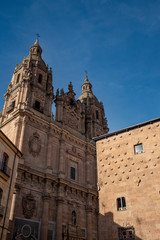 Fototapeta na wymiar Famous Casa de las Conchas with La Clerecia Church in Salamanca