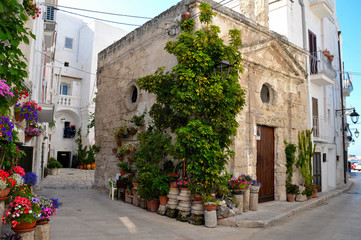 Journey to the small town of Monopoli, in the Puglia region (southern Italy)