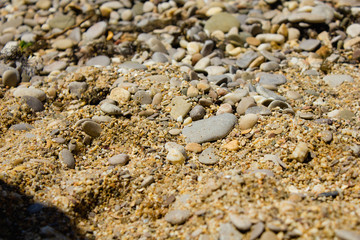 stones on the sandy beach