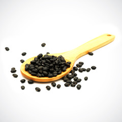 Fototapeta na wymiar Black turtle bean, a variety of common bean, typically used in Latin American cuisine .