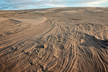 Fototapeta premium desert with wind tracks in the sand