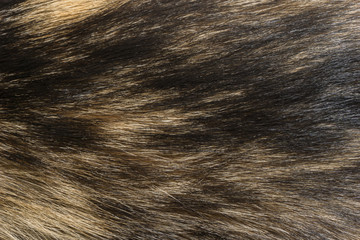 Naklejka premium Natural animal fur background texture. brown wool close-up