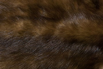 Natural animal fur background texture. brown wool close-up