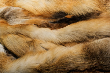 Natural animal fur background texture. yellow fox wool close-up
