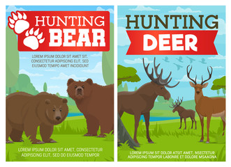 Deer, elk and grizzly bear animals, hunting sport