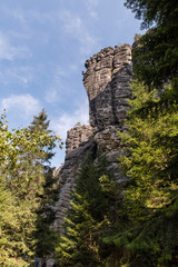 Obraz premium Climbing rope on a rock in the woods.