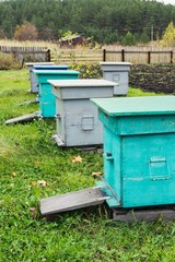 Agricultural landscape - Bee hives in the field