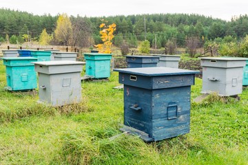 Agricultural landscape - Bee hives in the field