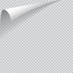 Transparent sheet with top curled corner. Realistic shadow. Vector design illustration