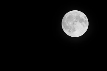 Fototapeta na wymiar Full Moon on the night sky