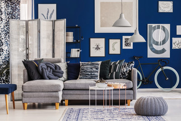 Elegant grey and blue living room interior with comfortable corner couch and gallery of posters on the wall