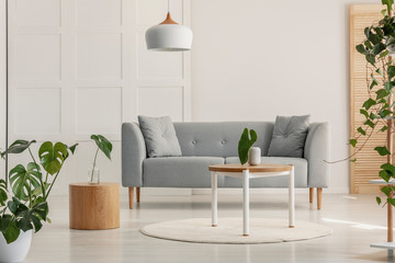 Green leaf in white vase on round wooden coffee table in stylish living room with grey scandinavian...