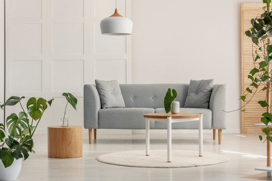 Green leaf in white vase on round wooden coffee table in stylish living room with grey scandinavian sofa