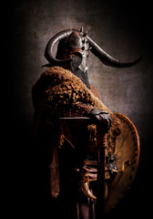 Portrait of a Viking