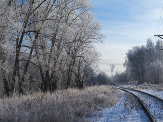 winter morning landscape. beautiful frosty forest near the railway