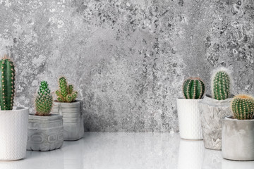 Modern room decoration. Collection of various potted cactus house plants on white shelf against industrial stone wall. Cactus plants background. Copy space front view.