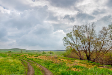 Fototapeta na wymiar The cloudy moody landscape with the unpaved ground road on the green grassland