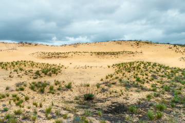The sandy desert with poor dry vegetations and cloudy stormy sky. Rostov-on-Don region, Russia