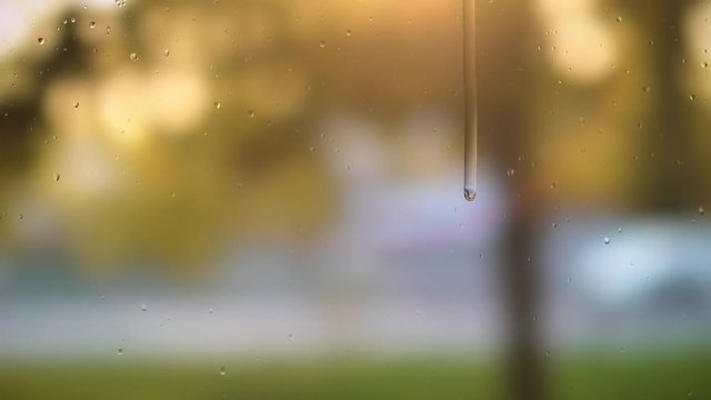 Close up image of rain drops falling on a window . Blurry background