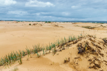 The sandy desert with hills covered with poor grass vegetation. Stormy cloudy sky. Forthcoming raining in the waterless land. Rostov-on-don region, Russia