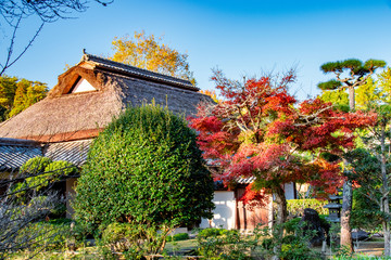 日本の古民家と日本庭園　Japanese old house built in 1902 and garden