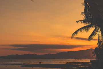 Tropical sunset with palm. Have space for text.