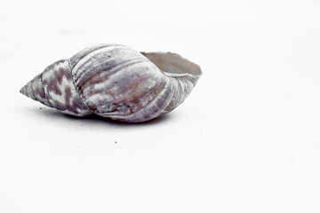 Close up of single stone isolated on white.