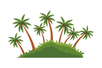 island palm tree