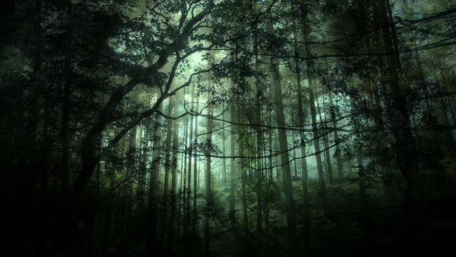 Green Forest Background Animation