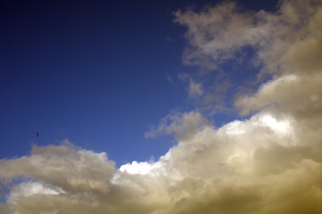 Obraz premium blue sky with clouds, cloud, blue, nature, weather, white,seagull,day, light, cloudscape, atmosphere,