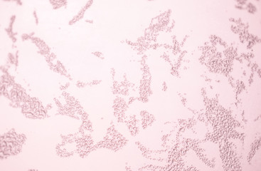 Pink  and White Border Background for Anniversary, Birthday or Christmas