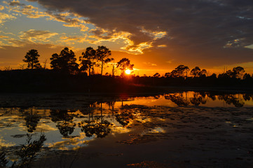 Fototapeta na wymiar Everglades Sunset